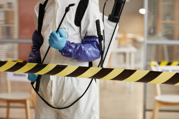 Professional Sewage Cleanup technician working in Valley Springs, CA